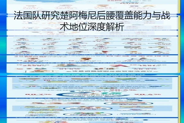 法国队研究楚阿梅尼后腰覆盖能力与战术地位深度解析