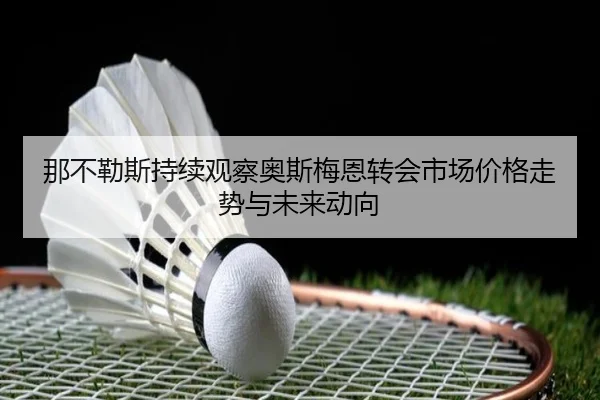 那不勒斯持续观察奥斯梅恩转会市场价格走势与未来动向